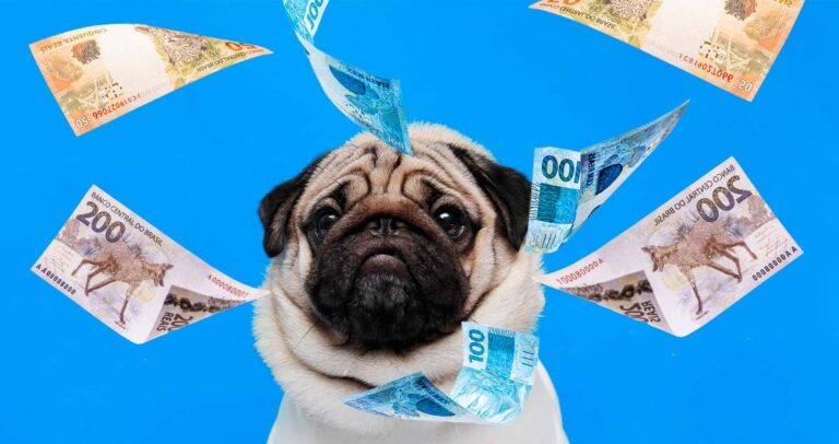 Cachorro com cédulas de dinheiro ao redor sobre fundo azul