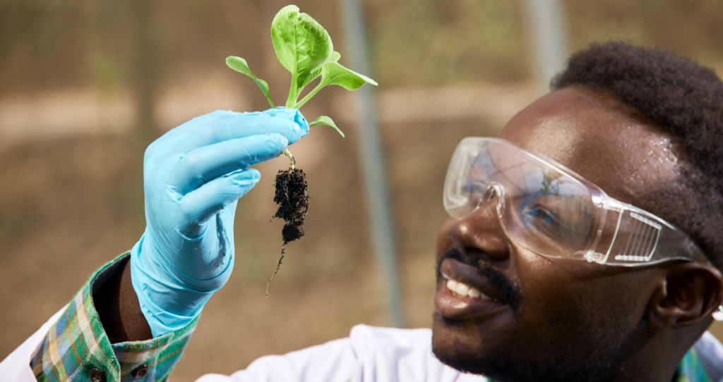 Biólogo segurando uma planta nas mãos